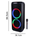 اسپیکر چمدانی بلوتوثی برودو BTS-2175 + میکروفون