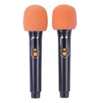 اسپیکر چمدانی بلوتوثی برودو BTS-2121 + میکروفون و ریموت کنترل - تصویر 4